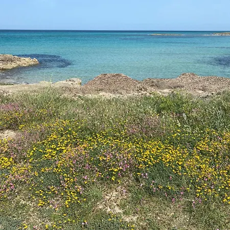 Trulli Tesoro לינה וארוחת בוקר 4*