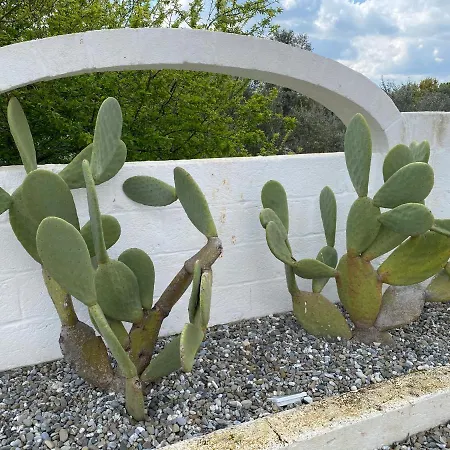 לינה וארוחת בוקר Trulli Tesoro