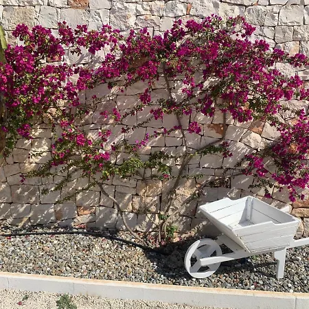 Bed and breakfast Trulli Tesoro 4*