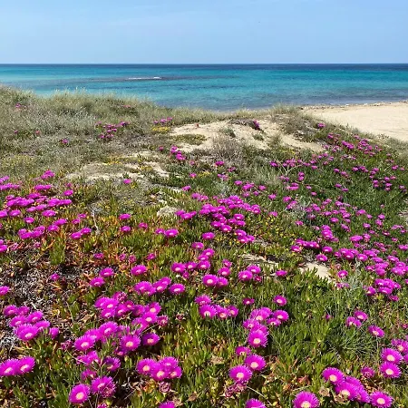 Bed & Breakfast Trulli Tesoro 4*